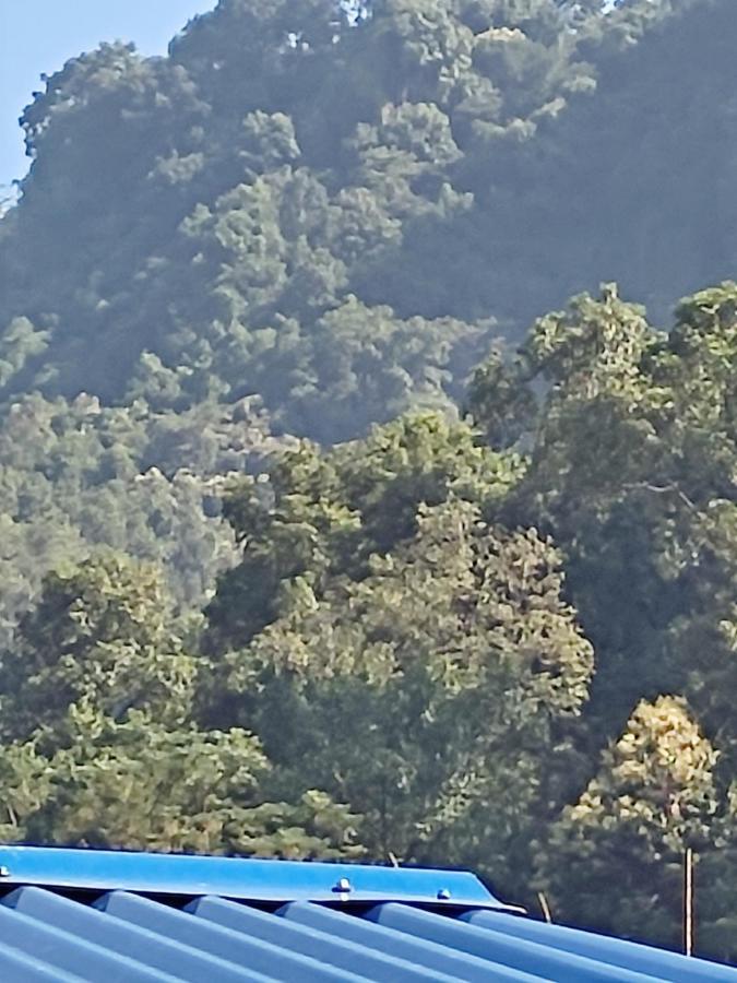 Hotel Green Hill View Pokhara Bagian luar foto