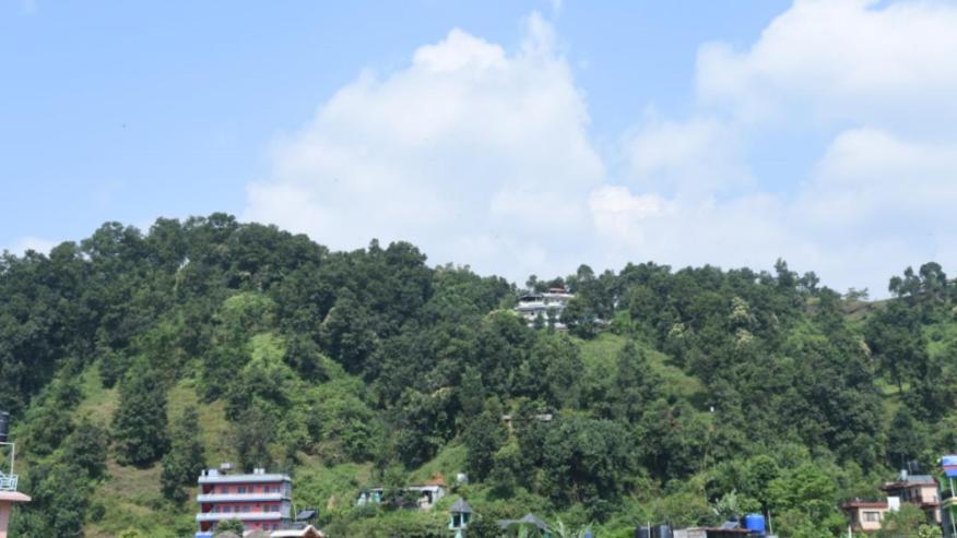Hotel Green Hill View Pokhara Bagian luar foto
